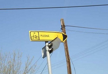 Plesná