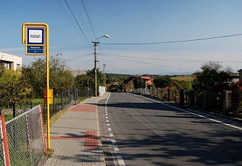 Plesná