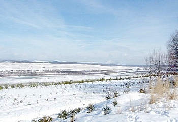 Bukovany