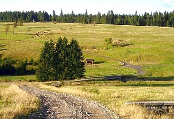 Potůčky
