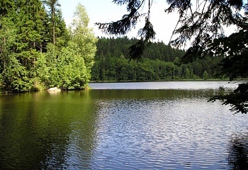 Kytlice