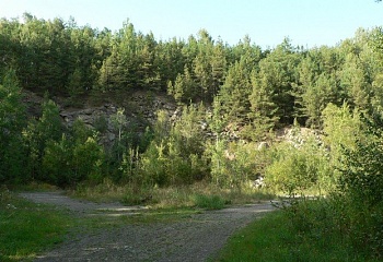 Tisem