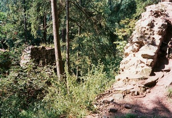 Tisem