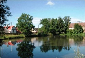Třebešice
