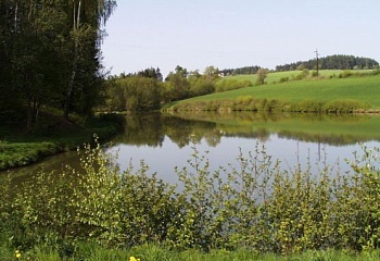 Vranov
