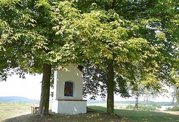 Xaverov