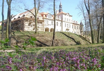Svinaře