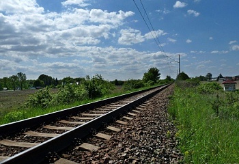 Svinaře