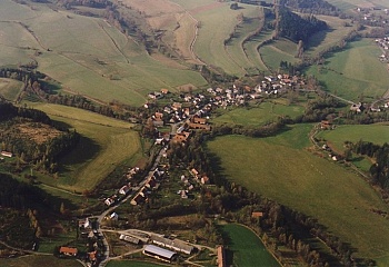 Borovnice