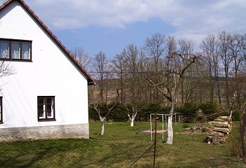 Borovnice