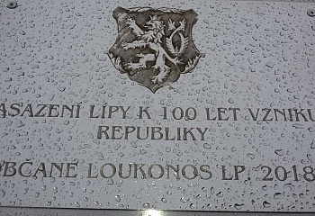 Loukonosy