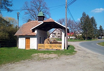 Loukonosy