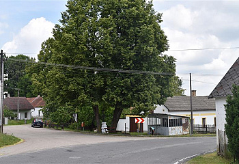Léskovec