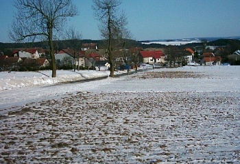 Křídla