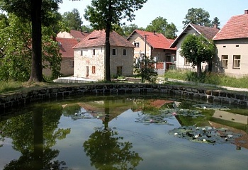 Jenišovice
