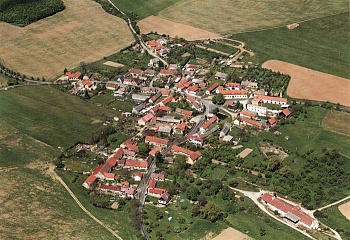 Vinařice
