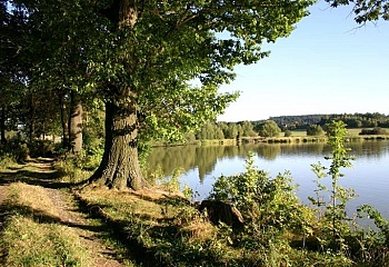 Mačkov