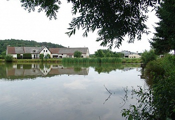 Otov