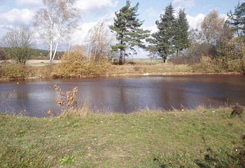 Pařezov