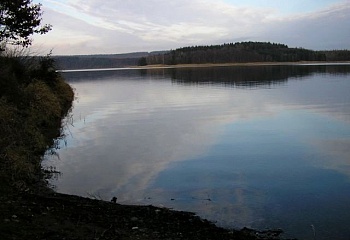 Bernartice