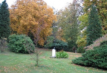 Vojkov