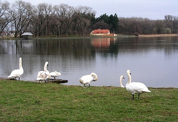 Hostivice