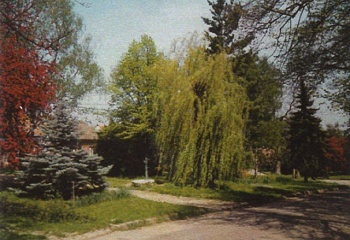 Dolenice