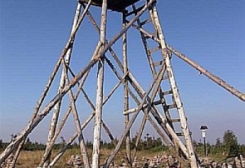 Deštné v Orlických horách