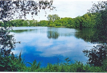 Hrdibořice