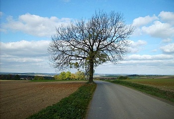 Dolní Kralovice