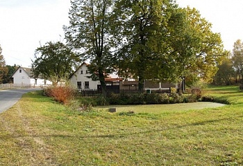 Dunice