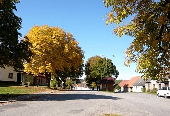 Kamberk