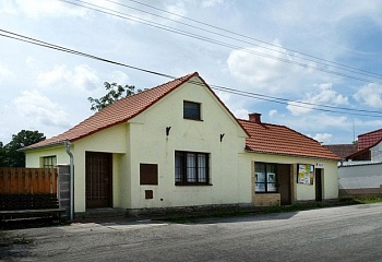Borovnice