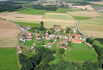 Borovnice
