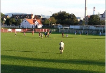 Ledvice