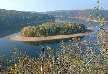 Seč