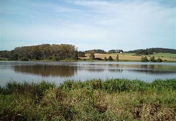Malý Bor