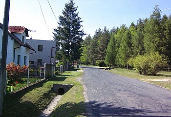 Brambory