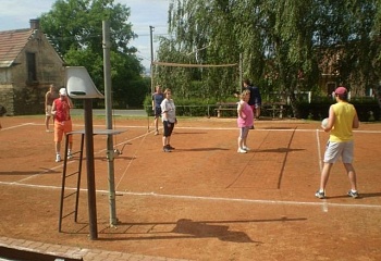Brambory