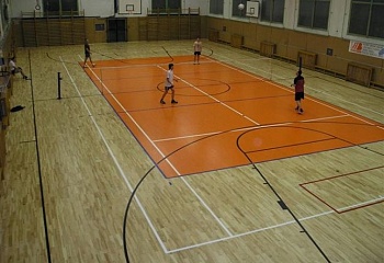 Nová Bystřice