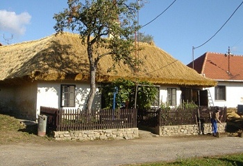 Petrovice