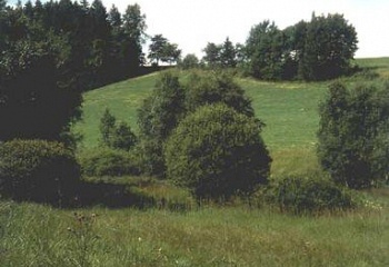 Dobré