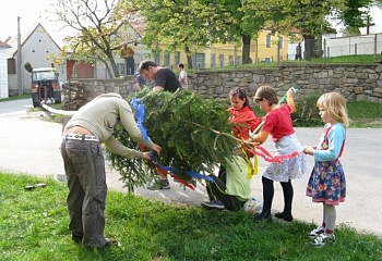 Čakov