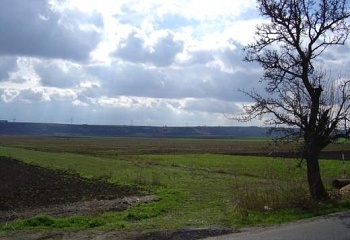 Brňany