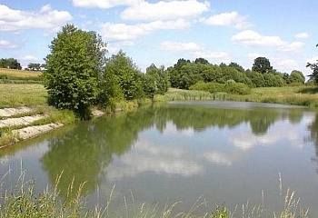 Močerady