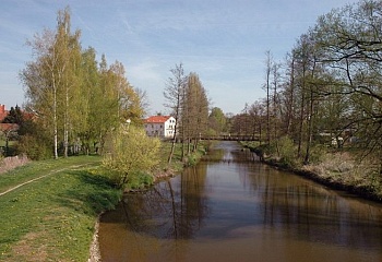 Staňkov