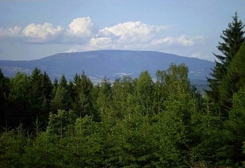 Borovnice
