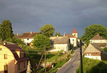 Borovnice