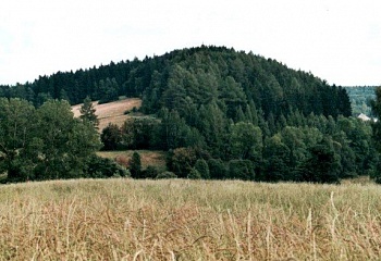 Borovnička