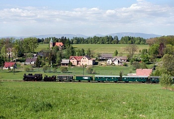 Borovnička